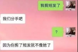 揭东遇到恶意拖欠？专业追讨公司帮您解决烦恼